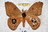  ( - BC-RBP 3611)  @13 [ ] Copyright (2010) Unspecified Research Collection of Ron Brechlin