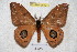  ( - BC-RBP 3612)  @13 [ ] Copyright (2010) Unspecified Research Collection of Ron Brechlin