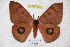  ( - BC-RBP 3613)  @13 [ ] Copyright (2010) Unspecified Research Collection of Ron Brechlin
