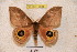  ( - BC-RBP 3656)  @11 [ ] Copyright (2010) Unspecified Research Collection of Ron Brechlin