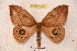  ( - BC-RBP 3659)  @13 [ ] Copyright (2010) Unspecified Research Collection of Ron Brechlin