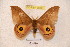  ( - BC-RBP 3660)  @11 [ ] Copyright (2010) Unspecified Research Collection of Ron Brechlin