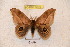 ( - BC-RBP 3670)  @13 [ ] Copyright (2010) Unspecified Research Collection of Ron Brechlin