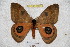  ( - BC-RBP 3692)  @11 [ ] Copyright (2010) Ron Brechlin Research Collection of Ron Brechlin
