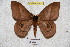  ( - BC-RBP 3698)  @13 [ ] Copyright (2010) Ron Brechlin Research Collection of Ron Brechlin