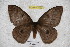 ( - BC-RBP 3699)  @14 [ ] Copyright (2010) Ron Brechlin Research Collection of Ron Brechlin