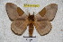  ( - BC-RBP 3786)  @11 [ ] Copyright (2010) Ron Brechlin Research Collection of Ron Brechlin