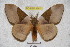  ( - BC-RBP 3787)  @11 [ ] Copyright (2010) Ron Brechlin Research Collection of Ron Brechlin