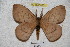  ( - BC-RBP 3801)  @14 [ ] Copyright (2010) Ron Brechlin Research Collection of Ron Brechlin