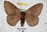  ( - BC-RBP 3809)  @11 [ ] Copyright (2010) Ron Brechlin Research Collection of Ron Brechlin