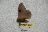  ( - BC-RBP 3818)  @12 [ ] Copyright (2010) Unspecified Research Collection of Ron Brechlin