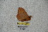  ( - BC-RBP 3825)  @12 [ ] Copyright (2010) Unspecified Research Collection of Ron Brechlin