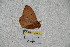  ( - BC-RBP 3826)  @12 [ ] Copyright (2010) Unspecified Research Collection of Ron Brechlin