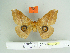  ( - BC-RBP 3383)  @11 [ ] Copyright (2010) Unspecified Research Collection of Ron Brechlin