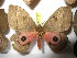  ( - BC-RBP 5018)  @13 [ ] Copyright (2010) Ron Brechlin Research Collection of Ron Brechlin