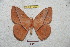  ( - BC-RBP 5108)  @13 [ ] Copyright (2011) Ron Brechlin Research Collection of Ron Brechlin