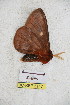  ( - BC-RBP 5147)  @12 [ ] Copyright (2011) Ron Brechlin Research Collection of Ron Brechlin