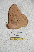  ( - BC-RBP 5272)  @12 [ ] Copyright (2011) Ron Brechlin Research Collection of Ron Brechlin