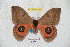  ( - BC-RBP 5299)  @11 [ ] Copyright (2010) Ron Brechlin Research Collection of Ron Brechlin