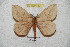  ( - BC-RBP 5321)  @12 [ ] Copyright (2010) Ron Brechlin Research Collection of Ron Brechlin