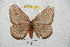 ( - BC-RBP 5323)  @13 [ ] Copyright (2010) Ron Brechlin Research Collection of Ron Brechlin