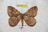  ( - BC-RBP 5329)  @13 [ ] Copyright (2010) Ron Brechlin Research Collection of Ron Brechlin