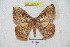  ( - BC-RBP 5377)  @14 [ ] Copyright (2010) Ron Brechlin Research Collection of Ron Brechlin