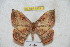  ( - BC-RBP 5379)  @13 [ ] Copyright (2010) Ron Brechlin Research Collection of Ron Brechlin