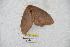  ( - BC-RBP 5436)  @12 [ ] Copyright (2010) Ron Brechlin Research Collection of Ron Brechlin