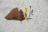  ( - BC-RBP 5439)  @12 [ ] Copyright (2010) Ron Brechlin Research Collection of Ron Brechlin