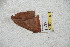  ( - BC-RBP 5448)  @12 [ ] Copyright (2010) Ron Brechlin Research Collection of Ron Brechlin