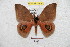  ( - BC-RBP 5465)  @13 [ ] Copyright (2010) Ron Brechlin Research Collection of Ron Brechlin