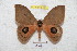  ( - BC-RBP 5466)  @14 [ ] Copyright (2010) Ron Brechlin Research Collection of Ron Brechlin
