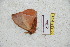  ( - BC-RBP 5498)  @12 [ ] Copyright (2010) Ron Brechlin Research Collection of Ron Brechlin