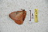  ( - BC-RBP 5499)  @12 [ ] Copyright (2010) Ron Brechlin Research Collection of Ron Brechlin