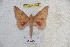  ( - BC-RBP 5544)  @13 [ ] Copyright (2010) Ron Brechlin Research Collection of Ron Brechlin