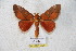  ( - BC-RBP 5625)  @11 [ ] Copyright (2010) Ron Brechlin Research Collection of Ron Brechlin