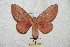  ( - BC-RBP 5669)  @13 [ ] Copyright (2010) Ron Brechlin Research Collection of Ron Brechlin