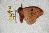  ( - BC-RBP 5719)  @12 [ ] Copyright (2010) Ron Brechlin Research Collection of Ron Brechlin