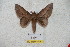  ( - BC-RBP 5726)  @13 [ ] Copyright (2010) Ron Brechlin Research Collection of Ron Brechlin