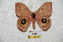  ( - BC-RBP 5756)  @14 [ ] Copyright (2010) Ron Brechlin Research Collection of Ron Brechlin