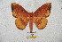  ( - BC-RBP 5782)  @13 [ ] Copyright (2010) Ron Brechlin Research Collection of Ron Brechlin