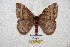  ( - BC-RBP 5798)  @13 [ ] Copyright (2010) Ron Brechlin Research Collection of Ron Brechlin