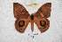  ( - BC-RBP 5887)  @13 [ ] Copyright (2010) Ron Brechlin Research Collection of Ron Brechlin