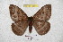  ( - BC-RBP 5894)  @13 [ ] Copyright (2010) Ron Brechlin Research Collection of Ron Brechlin