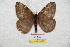  ( - BC-RBP 5896)  @13 [ ] Copyright (2010) Ron Brechlin Research Collection of Ron Brechlin