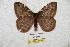  ( - BC-RBP 5897)  @13 [ ] Copyright (2010) Ron Brechlin Research Collection of Ron Brechlin