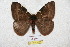  ( - BC-RBP 5898)  @13 [ ] Copyright (2010) Ron Brechlin Research Collection of Ron Brechlin