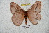  ( - BC-RBP 5914)  @12 [ ] Copyright (2010) Ron Brechlin Research Collection of Ron Brechlin