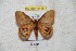  ( - BC-RBP 4416)  @13 [ ] Copyright (2010) Ron Brechlin Unspecified